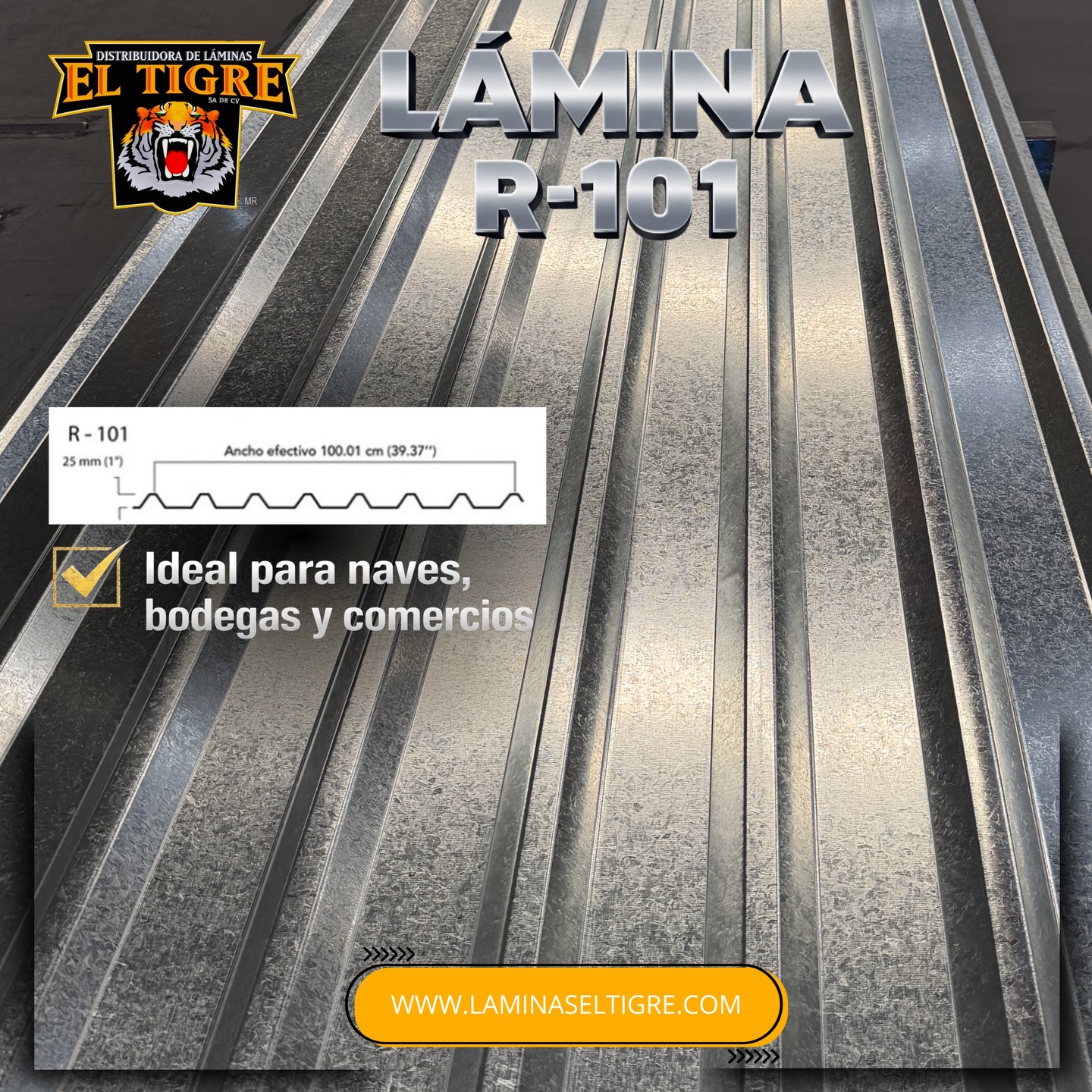 Lámina R-101